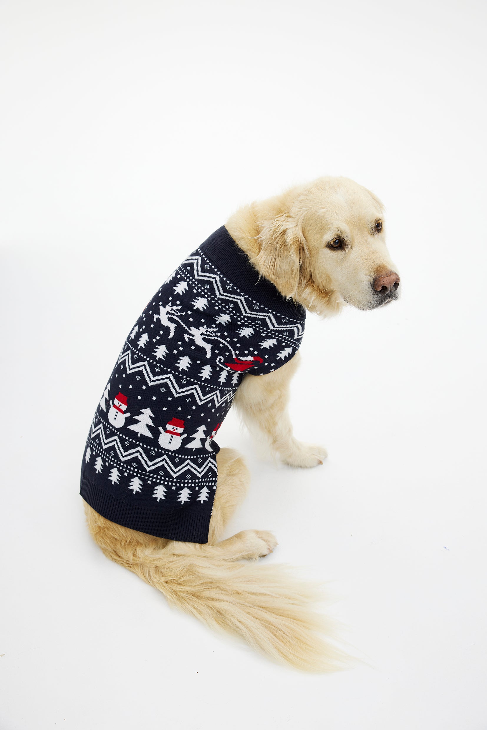 Den stilede hundejulesweater